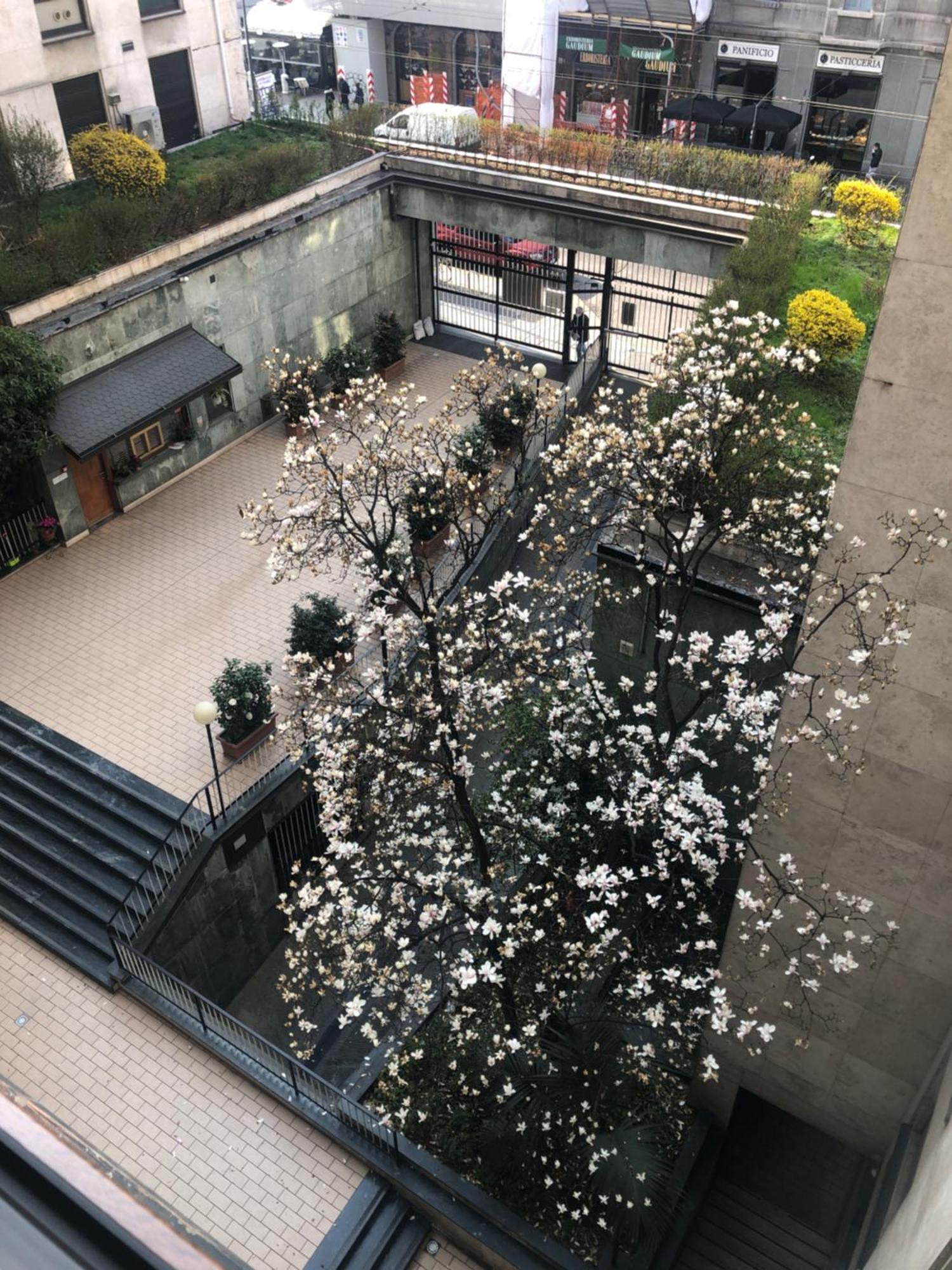 Music House - Carozzi Apartments 米兰 外观 照片