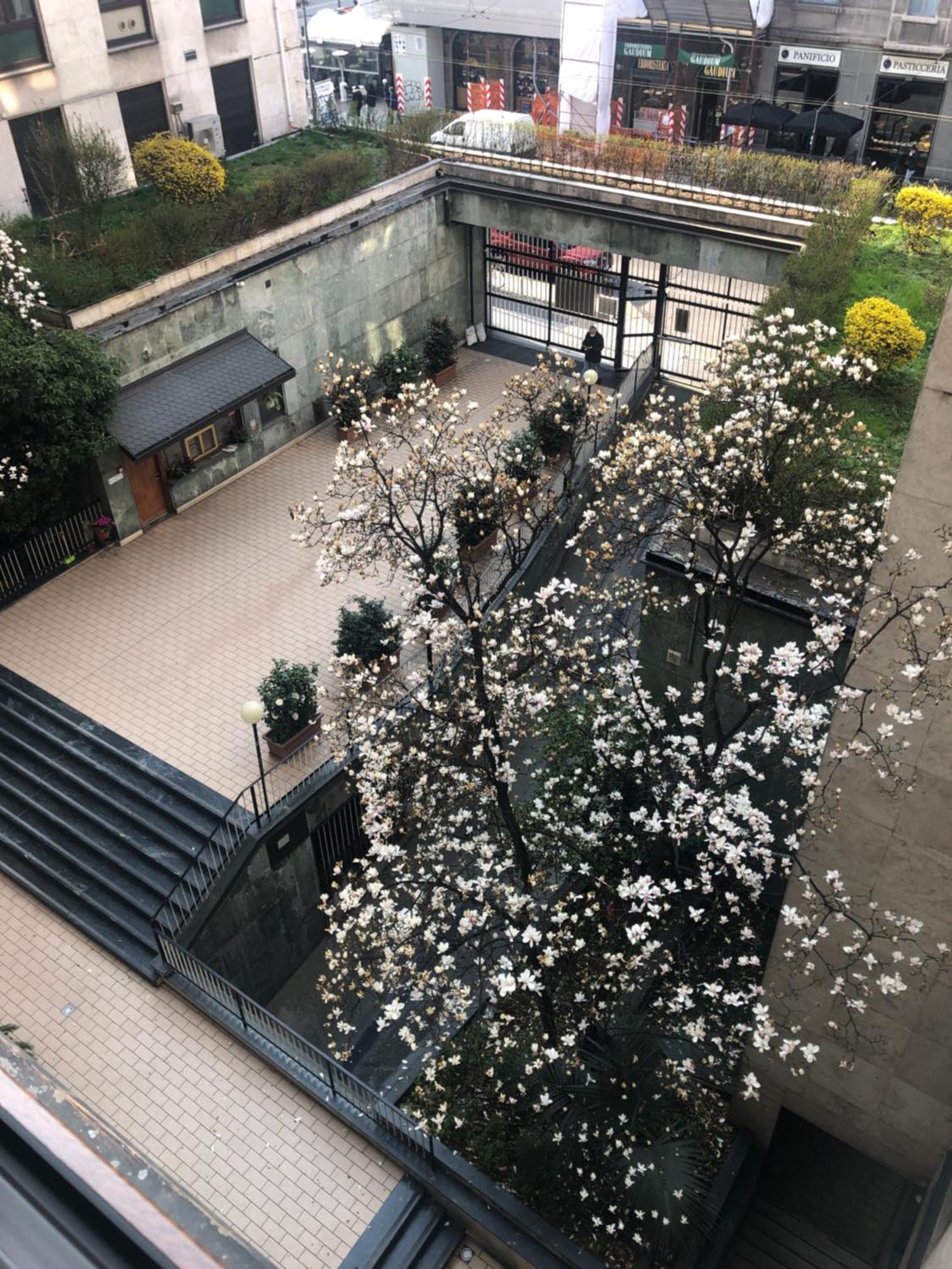 Music House - Carozzi Apartments 米兰 外观 照片