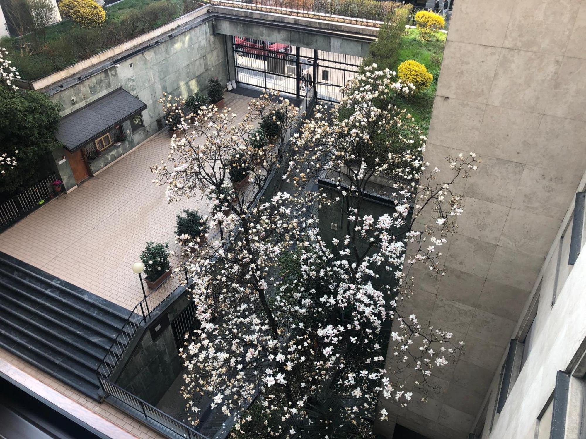 Music House - Carozzi Apartments 米兰 外观 照片